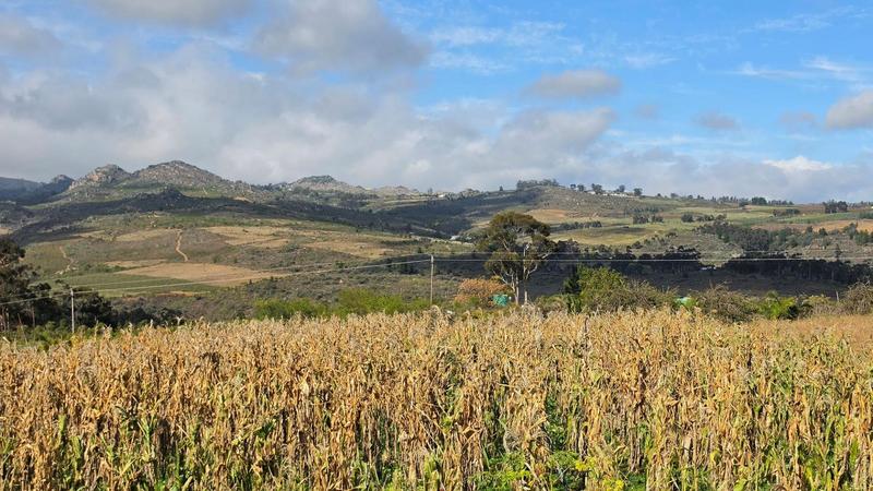 5 Bedroom Property for Sale in Piketberg Rural Western Cape